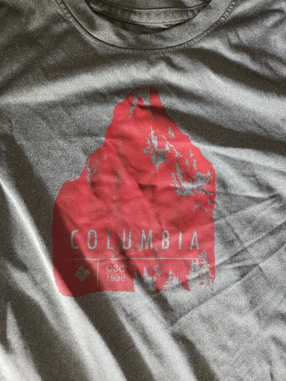 Columbia Boy's Gray T‑Shirt with Red Graphic Logo